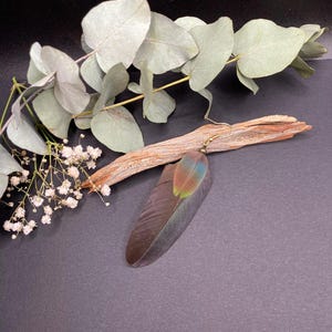 Boucle seule en plumes naturelles de perroquet