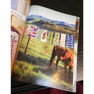 May include: A magazine page featuring a pastoral scene with a clothesline of colorful, patterned towels. The towels are decorated with floral, butterfly, and geometric designs. A brown horse grazes in a green field under a blue sky.