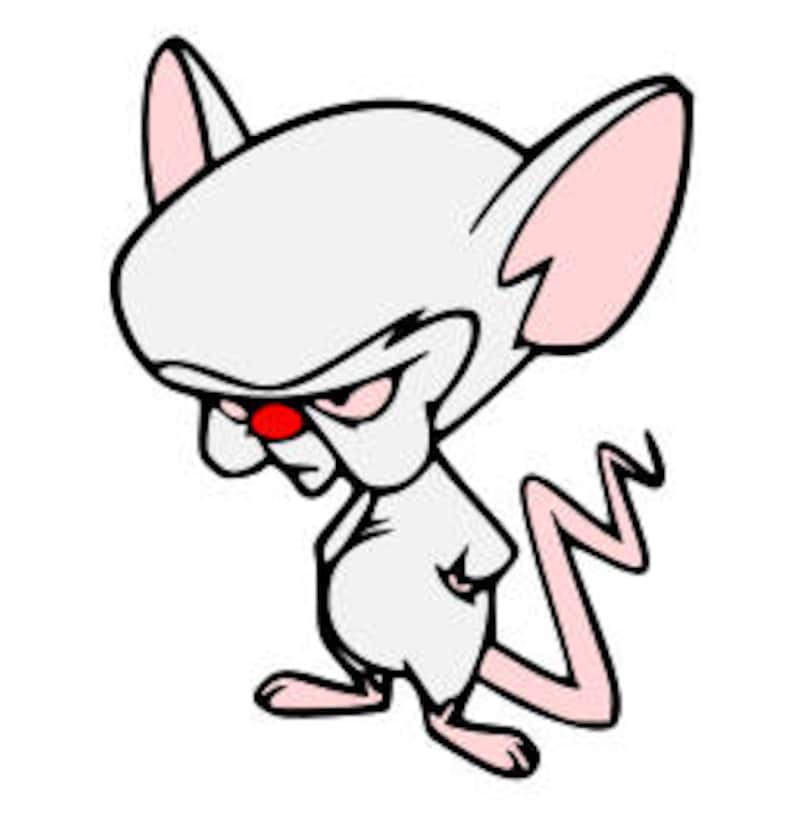 Image result for pinky and the brain