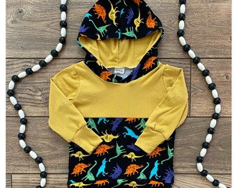 Boys Autumn Long Sleeve Strip Dinosaur Hoodie Toddler Outwear Clothes