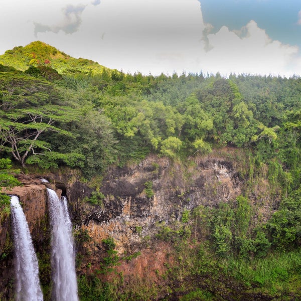 Kauai Coffee Print Etsy