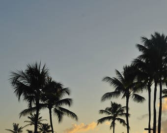Hawaii Sunset on the Palms (Print/Photo/Wall Art/Coffee Cup/Magnet)