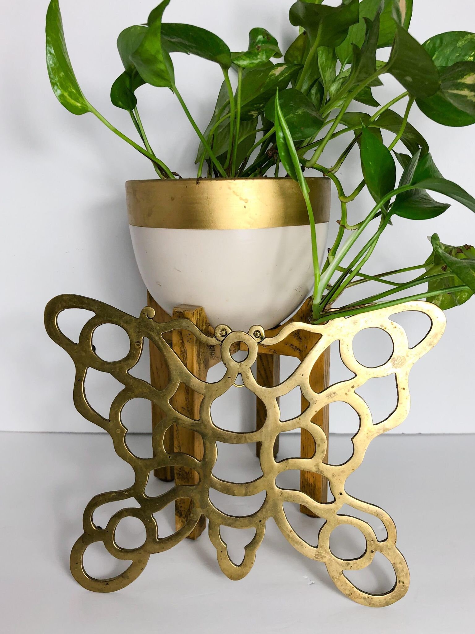 Solid Brass Butterfly Hot Plate Trivet Vintage Midcentury / Etsy