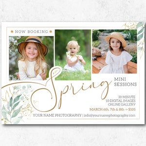 Spring Mini Sessions Template for Photographers, Spring Minis Photoshop Template