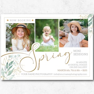 Spring Mini Sessions Template for Photographers, Spring Minis Photoshop Template