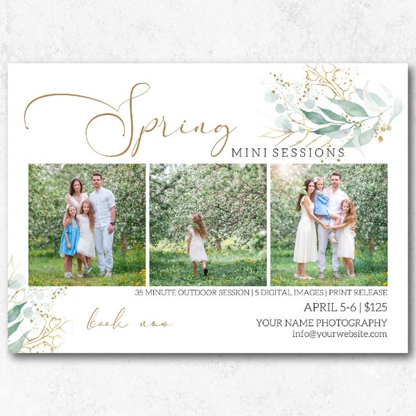 Spring Mini Sessions Marketing Template Photoshop Template Spring Minis Photography Template