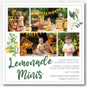 Summer Mini Sessions Marketing Board Lemonade Mini Session Photoshop Template for Photographers