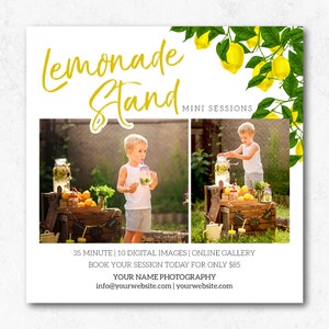 MA250 INSTANT DOWNLOAD Lemonade Stand Mini Session template