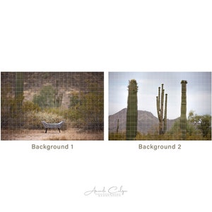 Paquete de fondo digital del desierto / Fondo digital de cactus / Fondo digital de montaña / Colección de fondo digital