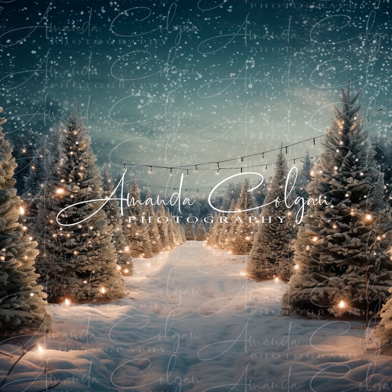 Christmas Tree Farm Digital Background | Christmas Tree Digital ...