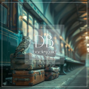 Witch/Wizard Train Station Digital Background | Train Station Digital Backdrop | Magical Train Station Digital Background for Composite