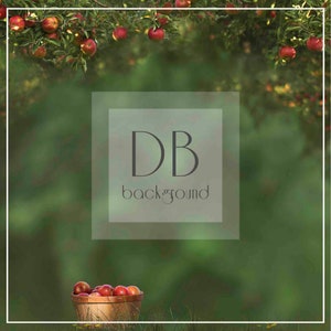 Apple Orchard Digital Background | Apple Digital Background | Back to School Digital Background | Digital Backdrop | Composite Background