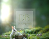 Easter Basket with Bunny Digital Background | Spring Digital Backdrop | Composite Photography Background | Digital Background