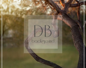Heart Tree Digital Background  |  Photoshop Digital Background  |  Layered Digital Background