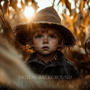 Fondo digital de otoño / Fondo digital de campo de maíz / Campo de maíz, tallos de maíz, cosecha, tierras de cultivo, espantapájaros, Halloween, compuesto