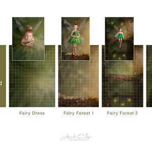 Fee Digitale Hintergrund Pack | Pixy Digitaler Hintergrund | Zusammengesetzter Digitaler Hintergrund | Digitale Hintergrundsammlung | Digitale Kulisse