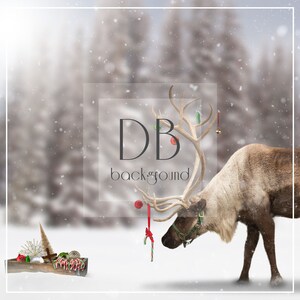 Deck Le fond numérique du renne | Fond numérique de renne | Fond numérique d'hiver | Fond numérique de Noël