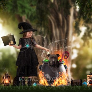 Halloween Digital Backdrop | Spooky Woods Digital Background | Forest, Haunted, Crows, Witch & Wizard, Picket Fence, Pet or Child, Composite