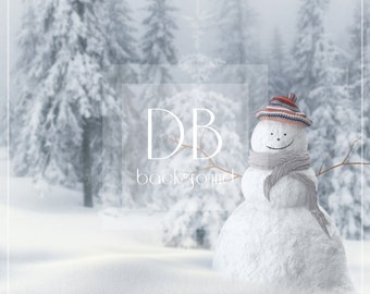 Arrière Plans De Bonhoe De Neige Pour Ordinateur De Bureau Joynest