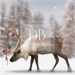 Rentier Digitaler Hintergrund | Winter Digitaler Hintergrund | Winter Digitaler Hintergrund | Weihnachten Digitaler Hintergrund | Digitale Kulisse