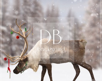 Snowy Reindeer Digital Background  |  Photoshop Digital Background  |  Reindeer Digital Background  | Winter Digital Background  |