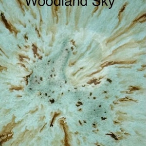 Close-up of a ceramic surface with a light blue-green center and radiating brown and tan patterns, with the text "Woodland Sky" overlaid.
