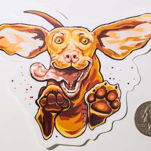 Happy playing and jumping Hungarian Vizsla dog sticker pack