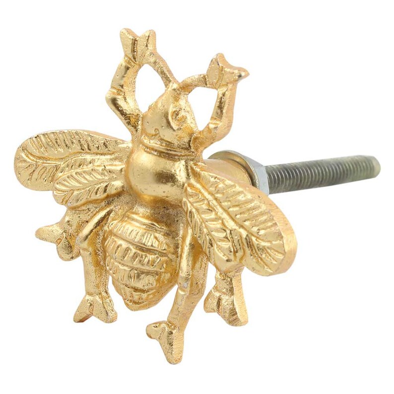 6X Bumble Bee Brass Gold Drawer Door Cupboard Knob Etsy