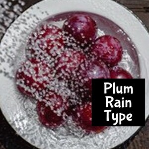 IT'S RAINING PLUMS dupe Handmade edp Perfume Cologne Room Linen Spray Fragrance Massage Beard Beauty Oil Shimmer Lotion Body Splash imagen 1