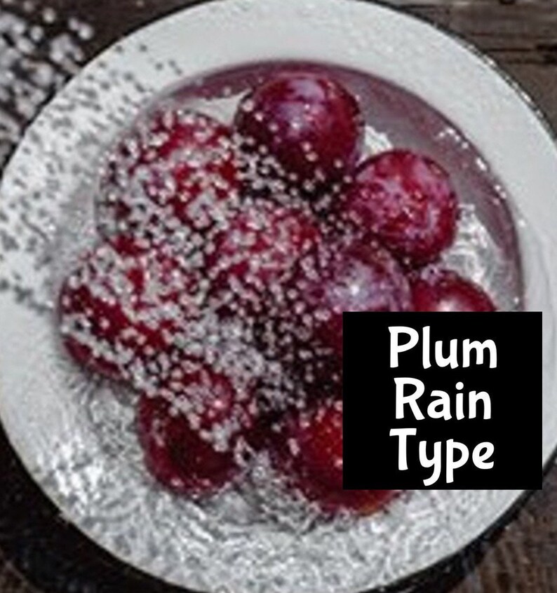 IT'S RAINING PLUMS dupe Handmade edp Perfume Cologne Room Linen Spray Fragrance Massage Beard Beauty Oil Shimmer Lotion Body Splash imagen 1
