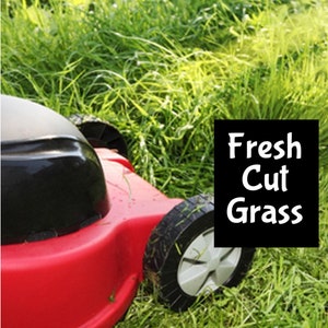 Puede incluir: Una cortadora de césped roja con una parte superior negra y una rueda grande en primer plano. La cortadora está cortando hierba verde fresca. El texto "Fresh Cut Grass" es visible en el fondo.