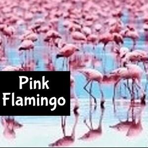 PINK FLAMINGO Handmade edp Perfume Cologne Room Linen Spray Fragrance Massage Beard Beauty Oil Shimmer Moisturizer Lotion Body Splash