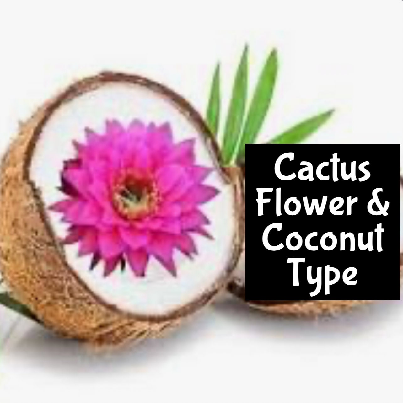 Cactus bloom perfume sale
