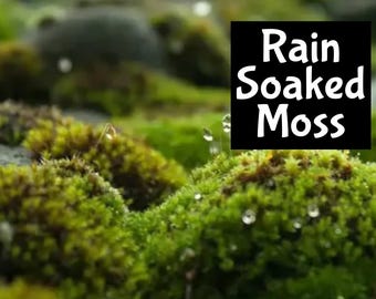 RAIN SOAKED MOSS Roll On Perfume Cologne Fragrance Body Beard Oil Shimmer Wash Beauty Room edp Spray Lotion Cream Hair Soap Scrub Polish