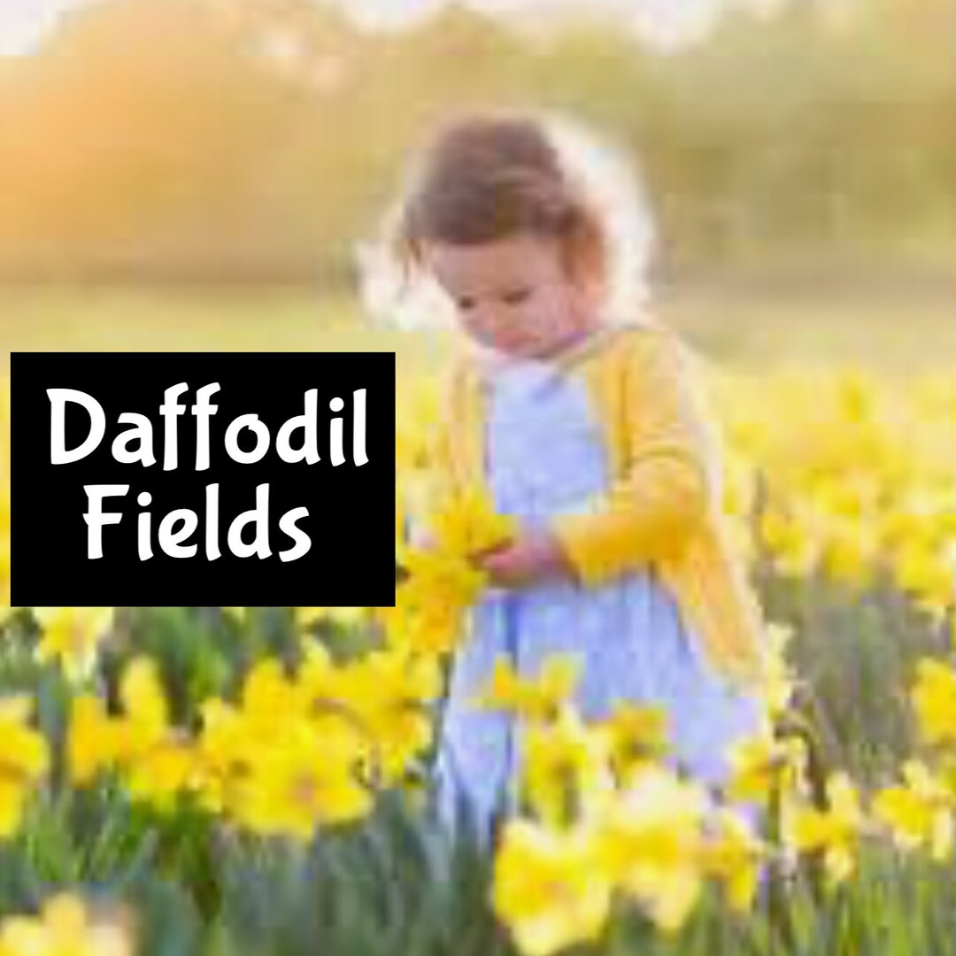 DAFFODIL FIELDS Perfume Edp Men's Cologne Room Linen Spray Etsy