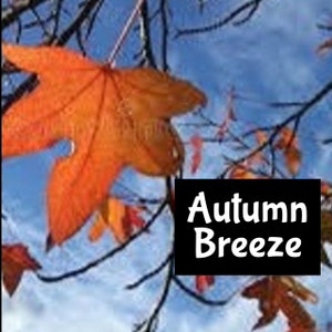 AUTUMN BREEZE Handmade EDP Perfume Cologne Room Linen Spray Fragrance Massage Beard Beauty Oil Shimmer Moisturizer Lotion Body Splash
