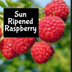 SUNNY RASPBERRIES Handmade Perfume Cologne Massage Beard Oil Bath Beauty Body Oil room linen spray spritz splash edp mist sun raspberry