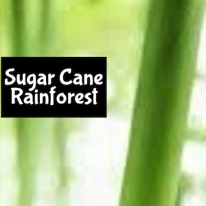 SUGARY CANE RAINFOREST dupe Handmade edp Perfume Cologne Room Linen Spray Fragrance Massage Beard Beauty Oil Shimmer Lotion Body Splash