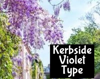 CURBSIDE VIOLETS dupe Handmade edp Perfume Cologne Room Linen Spray Fragrance Massage Beard Beauty Oil Shimmer Moisturize Lotion Body Splash
