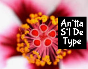 GRACEFUL ANITA (dupe) Handmade Beauty Cologne Perfume Massage Beard Bath Oil edp room linen spray lotion shimmer body splash hair fragrance