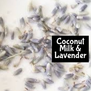 COCONUT MILK & LAVENDER Handmade Cologne Perfume Massage Beard Bath Oil edp room linen spray lotion shimmer body splash hair fragrance
