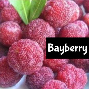 Puede incluir: Primer plano de un grupo de bayas de mirto, un tipo de fruta, con una superficie texturizada. La fruta está dispuesta en un racimo, con algunas superpuestas. La palabra "Bayberry" está escrita en letras blancas sobre un fondo negro.