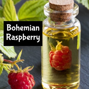 May include: A glass bottle with a cork stopper filled with a clear yellow liquid. The bottle is sitting on a dark gray surface. A red raspberry is floating in the liquid. A raspberry branch with a red raspberry is in the foreground. The text "Bohemian Raspberry" is on a black background.