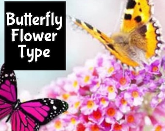 BUTTERFLY BLOSSOM (dupe) Handmade EDP Perfume Cologne Linen Spray Fragrance Massage Beard Beauty Oil Shimmer Moisturizer Lotion Body Splash