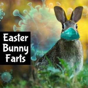 EASTER BUNNY FARTS Shimmer Hair Body Splash edp scrub shampoo Perfume Cologne Beauty Lotion Room Linen Spray Bath Hair Beard Massage Oi;