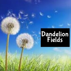 DANDELION FIELDS Handmade edp Perfume Cologne Room Linen Spray Fragrance Massage Beard Beauty Oil Shimmer Moisturizer Lotion Body Splash
