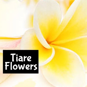 TIARE FLOWER Perfume Cologne Linen Room Spray Fragrance Massage Beard Beauty Oil Shimmer Moisturizer Lotion Body Splash edp
