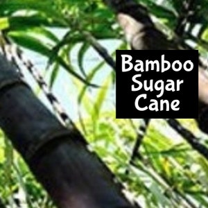 May include: Close-up of a thick, dark green bamboo stalk with the text "Bamboo Sugar Cane" in white letters on a black background.