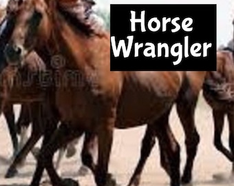 HORSE WRANGLER Moisturizing Shimmer Hair Body Splash EDP Perfume Cologne Beauty Lotion Room Linen Spray Bath Fragrance Beard Massage Oil