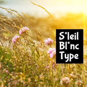 Puede incluir: Un campo de hierba alta con flores silvestres rosas que se mecen con el viento. El sol brilla intensamente en el fondo. El texto "S*leil Bl*nc Type" se superpone a la imagen.
